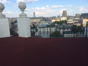 IMG_2393
